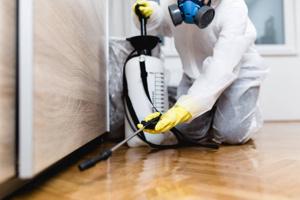 Best Pest Control Near Me  in Cvallis, OR