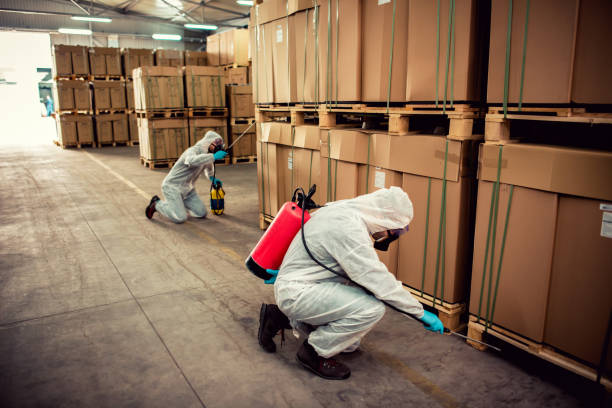 Best Flea Control Services  in Cvallis, OR