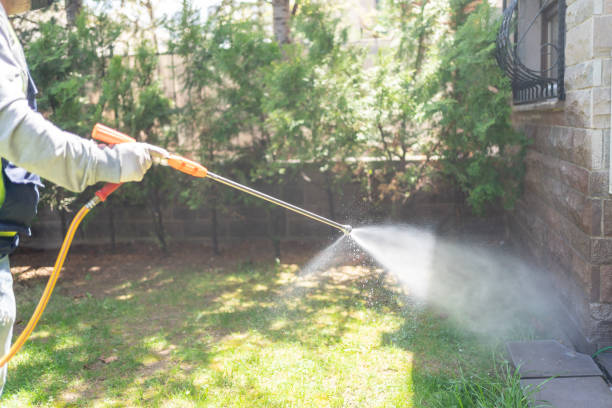 Best Pest Control Treatment  in Cvallis, OR