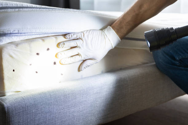 Best Pest Removal Services  in Cvallis, OR
