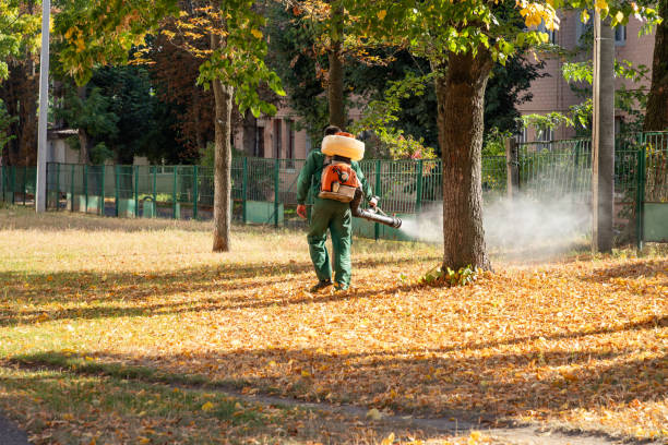 Best Residential Pest Control  in Cvallis, OR