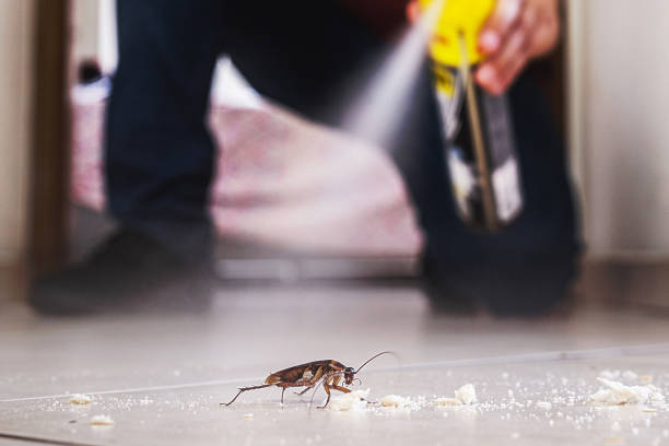 Best Best Pest Control Companies  in Cvallis, OR