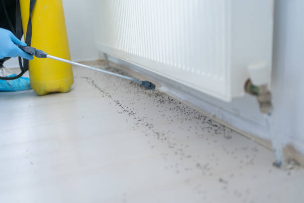 Best Commercial Pest Control Services  in Cvallis, OR