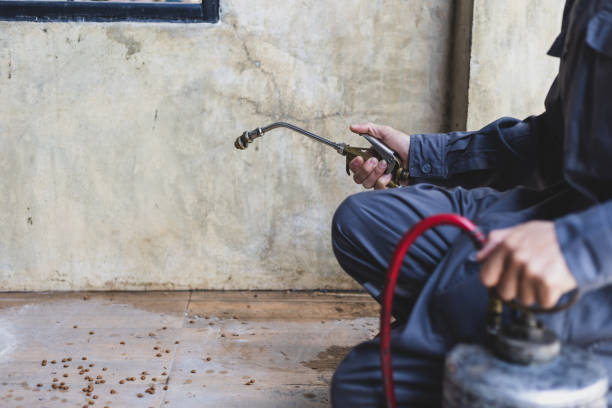 Best Pest Removal Services  in Cvallis, OR